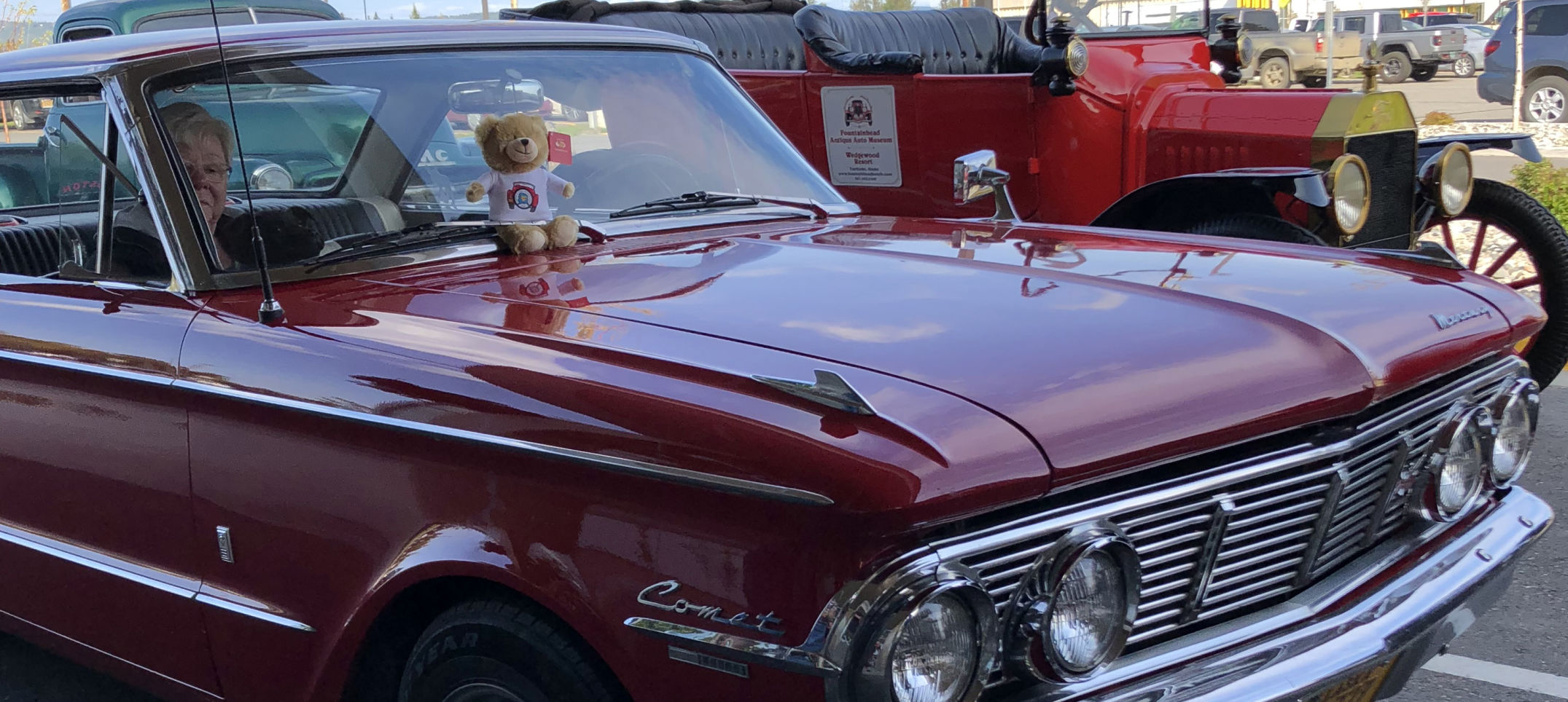 Car club bears